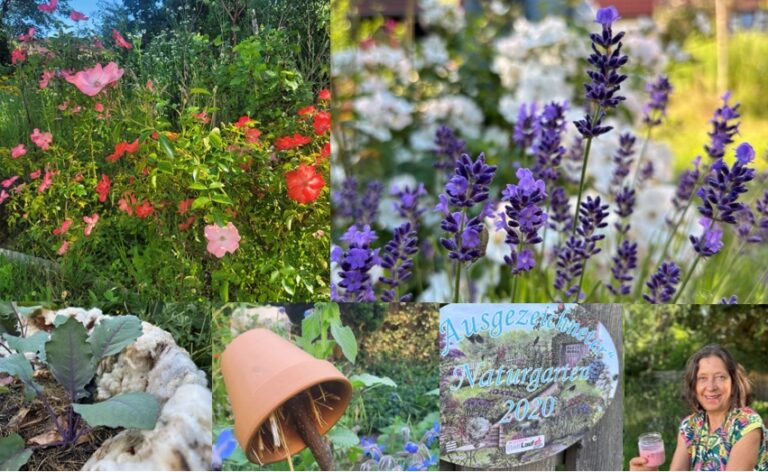 NATURGÄRTEN – ein Paradies für Pflanzen, Tiere und Menschen